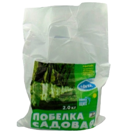 ������ ����� ���� 2�� ѳ��� ISPOLIN