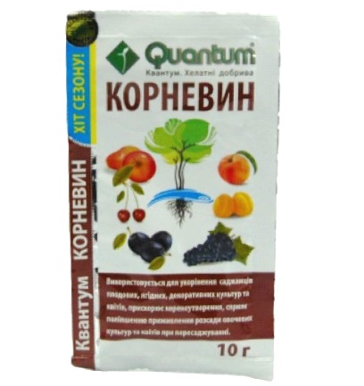 ������� ������� Quantum 10�