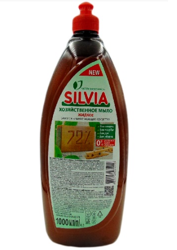 ���� ���� ������������ Silvia 1�