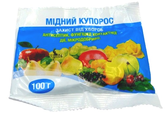 ̳���� ������� 100� ������