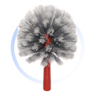 ٳ��� ��� ������ ���� Aniela Pasterski 1184