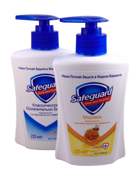 ���� ���� Safeguard 225��(����)