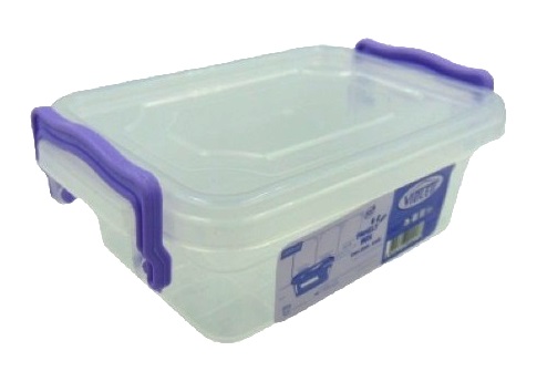 ��������� 300�� ����������� Family BOX Violet house