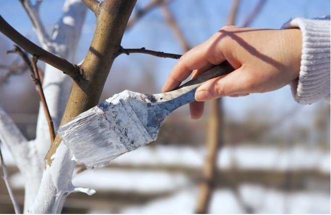 ������� ��������